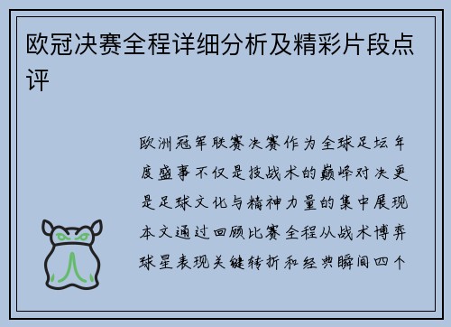 欧冠决赛全程详细分析及精彩片段点评