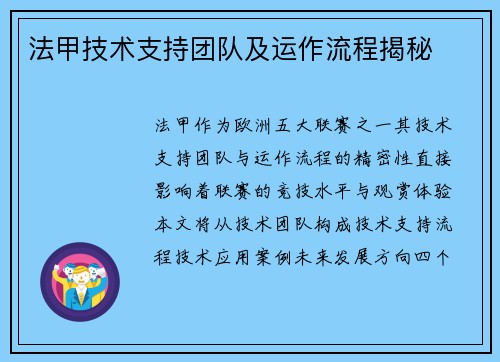 法甲技术支持团队及运作流程揭秘